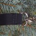 Attachable Detachable Wristlet Strap, wrist strap, pick your color