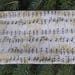 Music pencil case, zippered bag, crochet hook case, knitting notion pouch, The Deep Scribe
