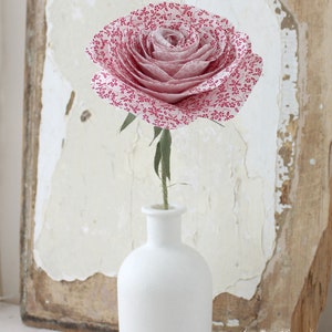 Coton rose 2e anniversaire de mariage, coton traditionnel, épouse, mari, couple, souvenir éternel, souvenir, vase non inclus, boutique britannique image 6