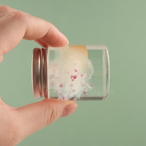 Fried Egg Jellyfish Specimen, Glass Jar Jellyfish, Wet Specimen, Real Biological Specimen, Educational Display, Gift For Ocean Lovers