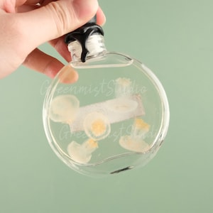 Glass Jar Jellyfish, Wet Specimen, Personalized Quantity Specimen, Real Jellyfish Specimen, Rare Treasure, Educational Display