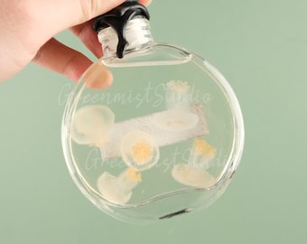 Glass Jar Jellyfish, Wet Specimen, Personalized Quantity Specimen, Real Jellyfish Specimen, Rare Treasure, Educational Display