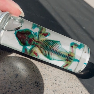 Classic Purple/Blue Transparent Mouse, Real Dyed Specimens, Transparent Skeleton Baby Mouse Specimens, Small Mouse Specimens, Wet Specimens