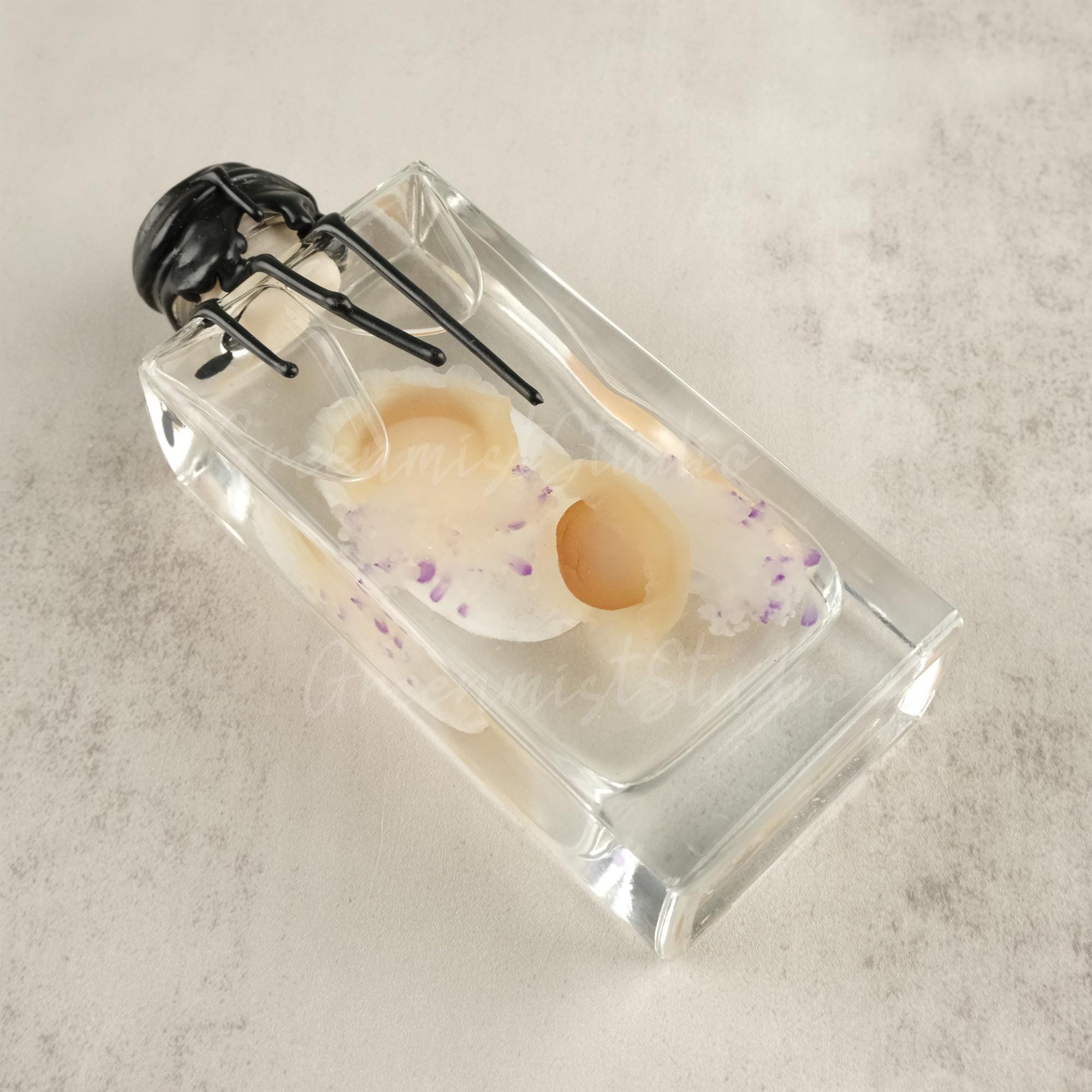 Jellyfish Specimen, Wet Specimen, Real Jellyfish Specimen, Glass Jar Jellyfish Specimen, Custom Quantity, Ocean Lover Gift, Novelty Gift