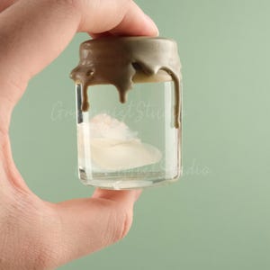Real Jellyfish Specimens, Jellyfish Specimens In Glass Jars, Wet Specimens, Gifts For Ocean Lovers, Educational Displays