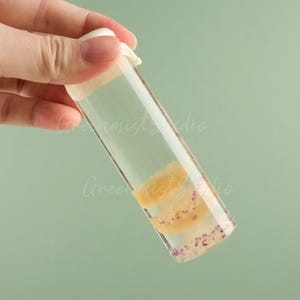 Fried Egg Jellyfish Specimen, Real Jellyfish Specimen, Wet Specimen, Safe And Non-Toxic Jellyfish Specimen, Natural Science Education