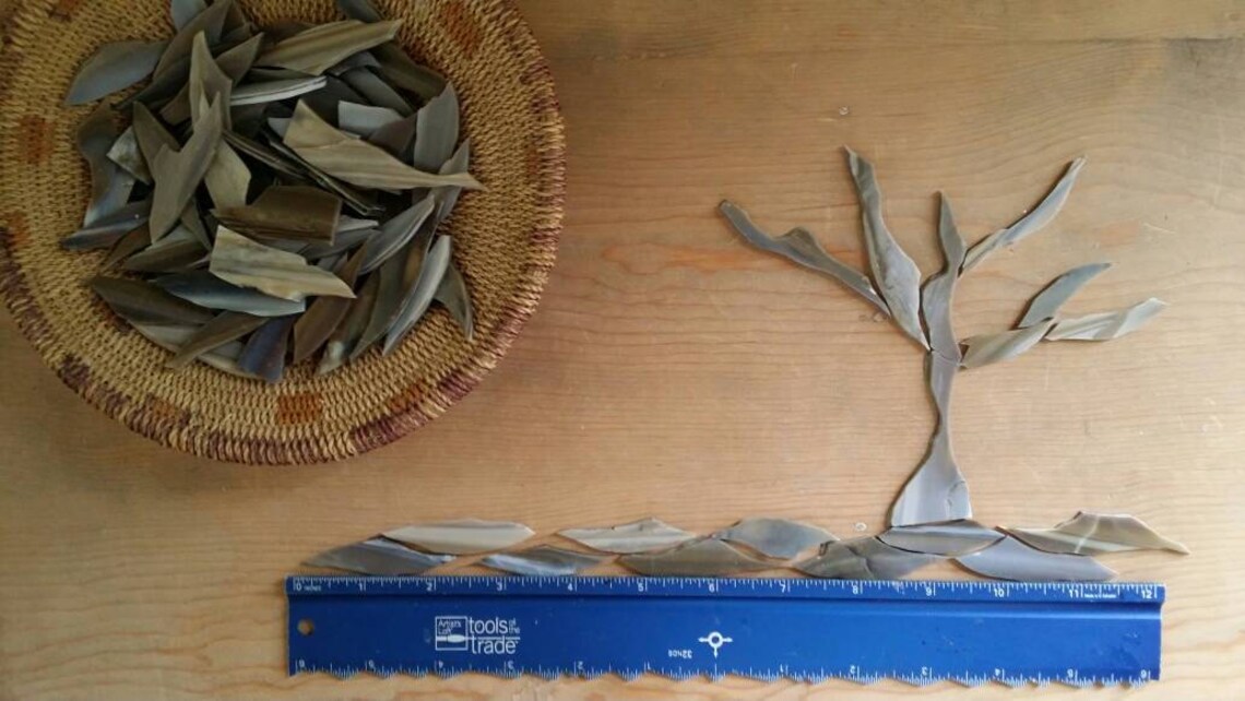 Tree Bark Glass Shards for Mosaic Art Designing Etsy