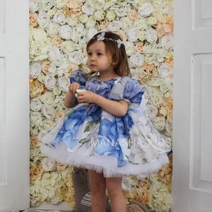 Flowers Girl Dress, Spring First Birthday Girl Beauty dress, Summer Party Organza Dress, Special Occasion Toddler Baby Princess Dress
