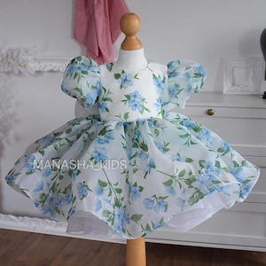 First Birthday girl dress, Flower organza Girl dress, Princess Outfit, Flower Girl Dress, Baby Wedding Dress with Big Bow, Baby Photoshoot
