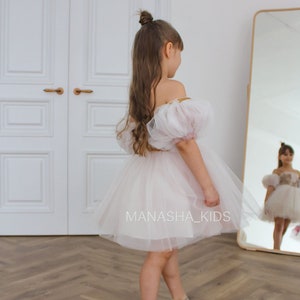 Flower Girl Dress, Birthday girl dress, First Birthday Baby Girl Toddler Dress, Birthday Party dress, Toddler Princess Pageant Tutu Dress