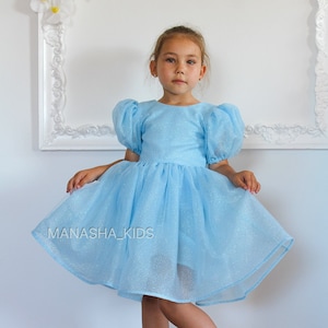 Abito blu per il primo compleanno, abito per il compleanno di una bambina, abito per invitata a nozze, abito da damigella d&#39;onore, abito da ballo, abito per occasioni speciali, abito per servizio fotografico per neonati