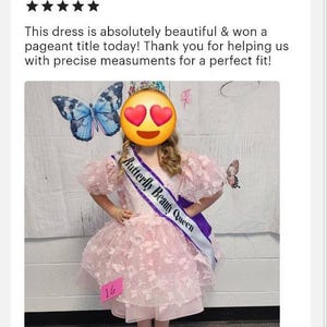 Baby Girl Tutu Dress Butterfly Dress Pink Tulle Dress, Wedding Baby Dress, Butterfly Lace, Birthday girl dress, Pink Butterfly Toddler Dress image 9