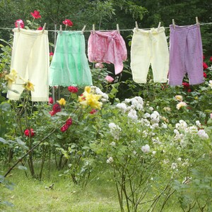 Sur un fil à étendre, dans un jardin fleuri, cinq petits vêtements colorés pour fille.