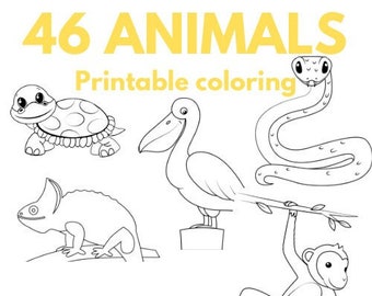 Animal coloring printable instant dawnload kids