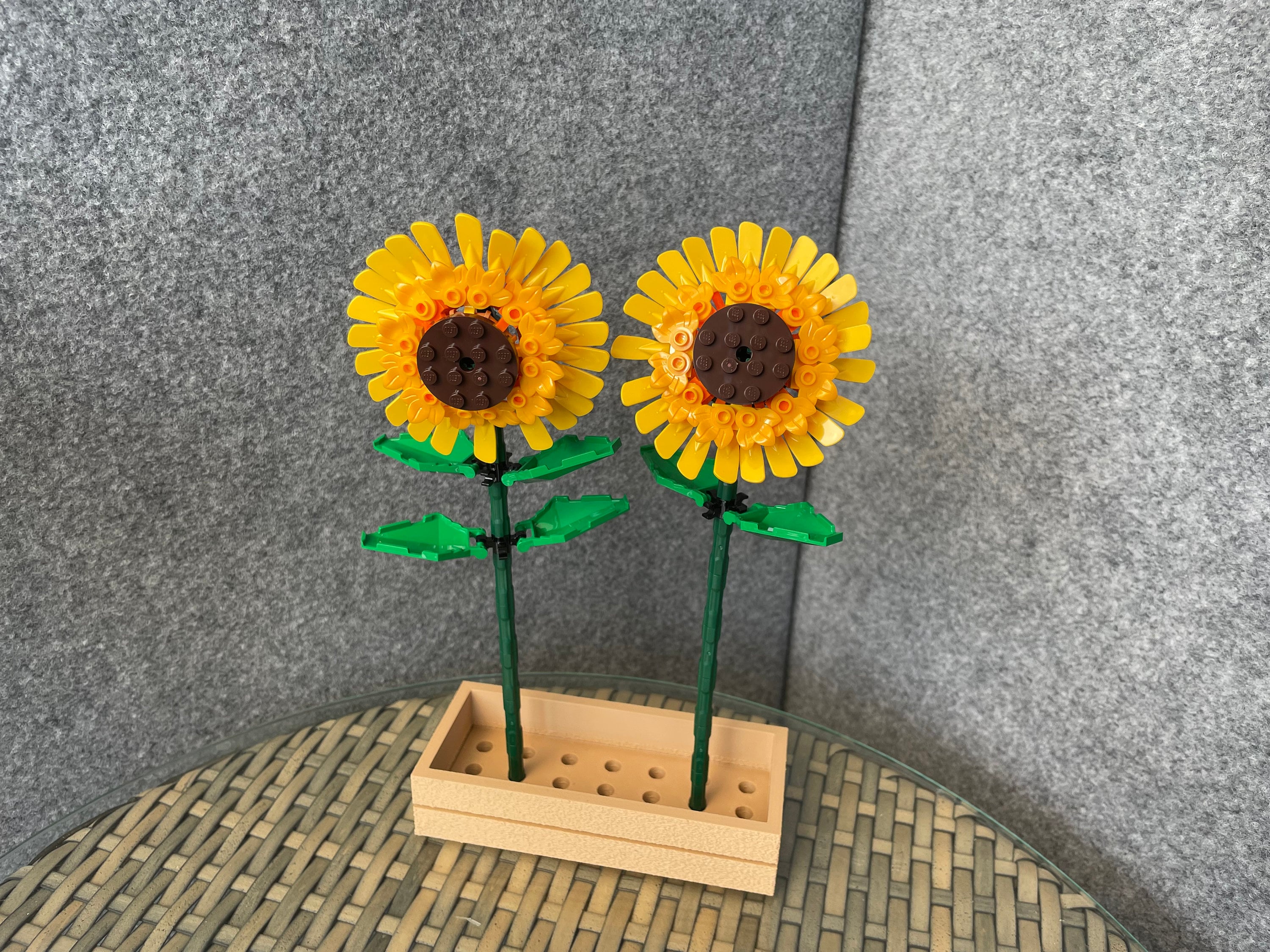 額装品/Sunflowers for Hope（デビット ホックニー） 30 Sunflowers': David Hockney's Singular Masterpiece