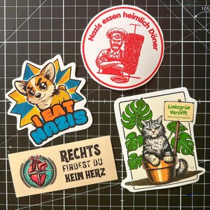 Politieke stickerset - FCK AFD-sticker, feminisme, antifascistisch, fck nzs, geen racisme, links-groen, diversiteit, queer, antiracistisch