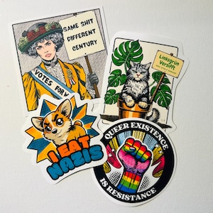 Conjunto de pegatinas | Diseños feministas, LGBTQ+, políticos y empoderadores | Acabado mate, estilo cómic retro | Perfecto para regalos y activismo.