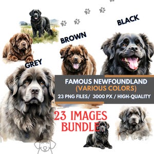Charming Newfoundland Clipart Collection, 23 High-Quality Images, Watercolor Clipart, Dog Sublimation, Newfoundland Print, Realistic Dog