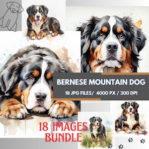 Lot de cliparts aquarelle bouvier bernois, 18 images de haute qualité, parfait pour la sublimation, oeuvre d'art imprimable, amoureux des chiens, oeuvre d'art murale chiens