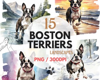 Cute Boston Terrier Dog Watercolor Design, 15 Transparent PNG Sublimation Clipart, Boston Terrier T-Shirt Mug Stickers Collage, Dog Wall Art