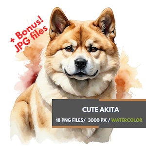 Akita Watercolor Clipart Bundle, 18 Transparent PNG Files with Akita Dog Illustration, Cute Akita Dog, Pair of Akita, Dog Lovers Sublimation