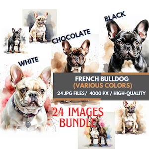 24 clipart de buldogues franceses | Buldogue aquarela | Cães pretos, brancos e chocolate | Download digital | Artesanato de papel | Sublimação | Cópia da arte