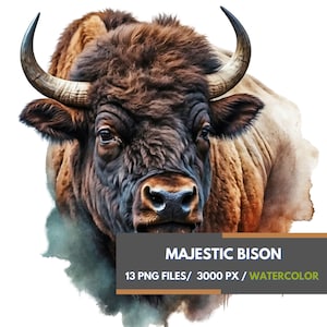 Op de afbeelding: Een aquarel illustratie van een majestueuze bizon, met een gedetailleerde weergave van zijn vacht, hoorns en gezichtskenmerken. De afbeelding bevat de tekst "MAJESTIC BISON" en "13 PNG FILES/ 3000 PX / WATERCOLOR". De bizon is weergegeven in bruin- en beigetinten.
