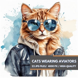 Cats in Sunglasses Clipart, 22 High Quality JPGs, Card Making, Mixed Media, Digital Paper Craft, Cool Cats, Digital Art, Trendy Cats
