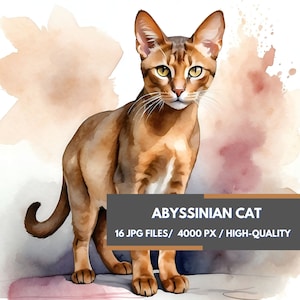 Abessijnse kat aquarel clipart, 16 hoogwaardige jpg-afbeeldingen, digitale download voor kunstprojecten en ambachten, kaarten maken, mixed media, DYI