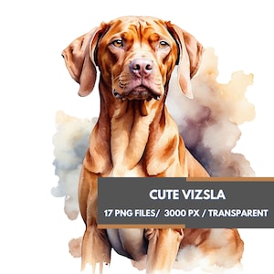 Colección de imágenes prediseñadas de Vizsla húngaro, 17 imágenes PNG de alta calidad, sublimación de perro con imágenes prediseñadas de acuarela, impresión de Vizsla, perro realista, perro Vizsla