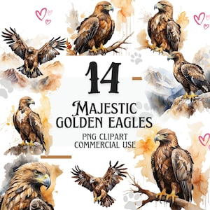 Steenarend aquarel clipart collectie, majestueuze roofvogel digitale kunst, Wildlife Raptor illustratie, Boho Flying Eagle esthetiek