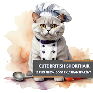 British Shorthair Cat Watercolor Clipart Set, Cute Cat Illustrations, Cats Sublimation Wall Art Mug Print, British Shorthair Transparent PNG