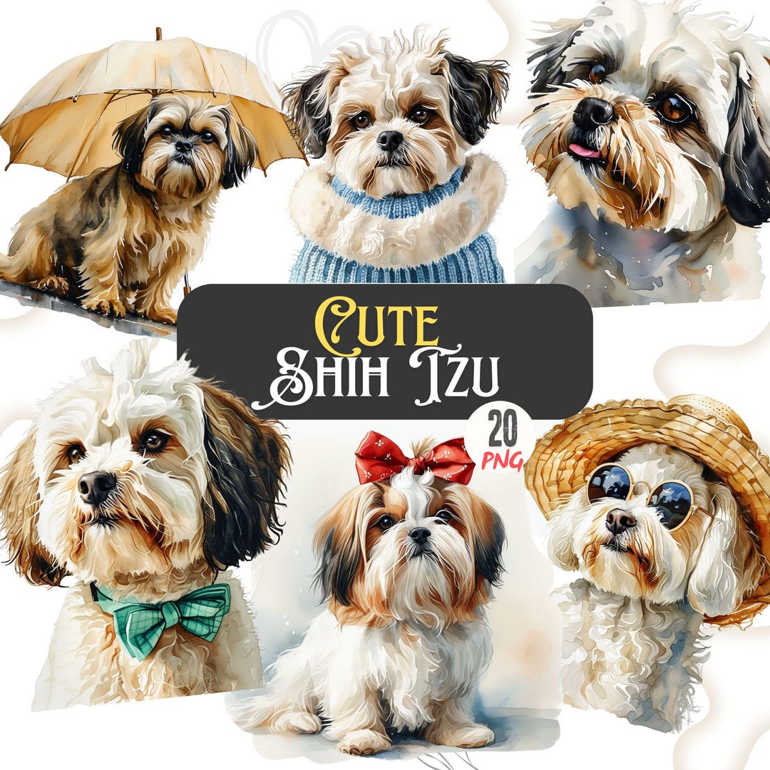 Funny Shih Tzu Dog Clipart Bundle, Watercolor Puppy PNG Illustrations ...