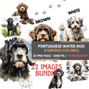 Pacchetto di clipart di cani d'acqua portoghesi, cane d'acqua portoghese marrone nero bianco, arte di sublimazione di cani carini, arte realistica di razza di cane ad acquerello