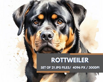 May include: Watercolor painting of a Rottweiler dog's head, featuring black, tan, and brown tones. The image includes the text "ROTTWEILER" and details about the file set.