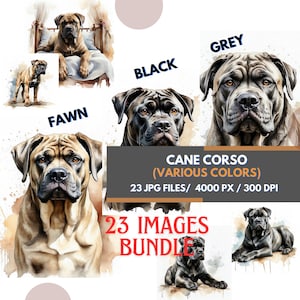 23 Cane Corso Clipart Bundle, Black Grey and Fawn Cane Corso, Dog Sublimation, Big Dog Breed Card Making, Cane Corso Watercolor Illustration