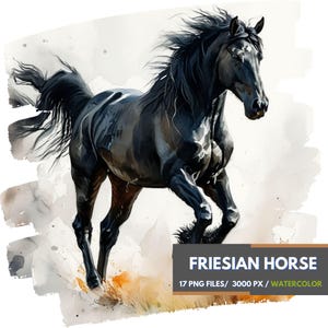 Clipart cheval frison, 17 images PNG transparentes, art numérique majestueux cheval noir, impression équestre, cadeau pour amateur de chevaux, art équin