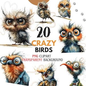 Crazy Birds PNG Clipart Bundle, Zabawne Ilustracje Ptaków Akwarelowych, Słodkie Zwierzęta z Kreskówek, Dziwaczna Sztuka Ptaków, Einstein Emotion Big Eyes Birds