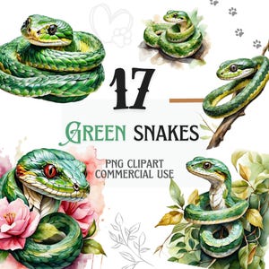 Coleção de PNG de aquarela de cobra verde fofa – 17 designs transparentes para sublimação, scrapbooking e convites | Nature Art | Réptil PNG
