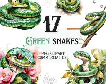 Collezione di simpatici serpenti verdi in formato PNG ad acquerello: 17 disegni trasparenti per sublimazione, scrapbooking e inviti / Arte naturalistica / Rettile in formato PNG