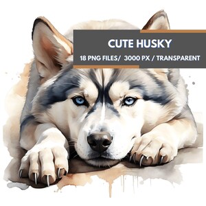 Husky Dog Clipart Bundle, 18 High-Quality Transparent PNG Images, Adorable Siberian Husky, Watercolor Sublimation Design, Dogs Breeds Art
