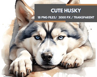 Husky Dog Clipart Bundle, 18 High-Quality Transparent PNG Images, Adorable Siberian Husky, Watercolor Sublimation Design, Dogs Breeds Art