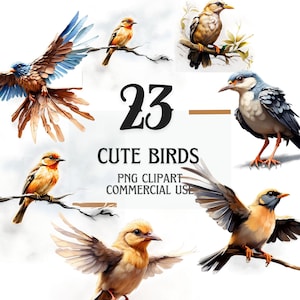 Conjunto de clipart de pássaros encantadores, 23 PNG de pássaros fofos em aquarela, ilustração de pássaros pequenos, clipart de vida selvagem da natureza, download de arte digital de pássaros
