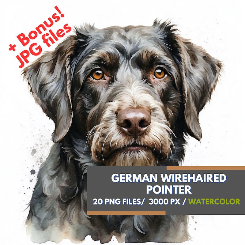 Wirehaired Pointer - Etsy