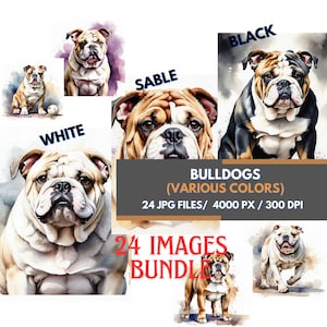 Adorable Bulldog Clipart Collection, Cute Dog PNG Bundle, Hand-Drawn Bulldog Illustrations, Digital Pet Graphics, Sublimation Bulldog Design