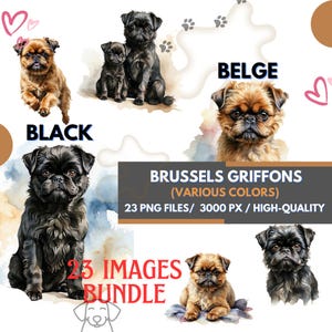 Pacchetto di clipart acquerello di graziosi griffoni di Bruxelles - 23 file PNG trasparenti per sublimazione, illustrazioni di cani, cani dal mantello belga e nero