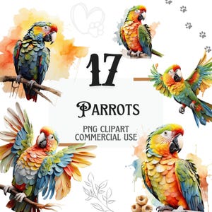 Majestätische Papagei-Kunst PNGs, 17 transparente Papagei Clipart Aquarell-Bilder, lebendige Natur-inspirierte Wildtier-Grafiken, Papagei Sublimation PNG