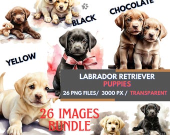 Niedliche Labrador Retriever-Welpen, Aquarell Clipart-Bundle für Sublimation, Hund ClipArt-Set, Labrador-Welpe PNG, schwarz gelb Chocolate Lab