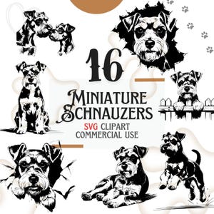 Charming Miniature Schnauzer SVG Clipart Bundle,16 High-Quality Images, Sketch Clipart, Dog Sublimation, Schnauzer Print, Realistic Dog
