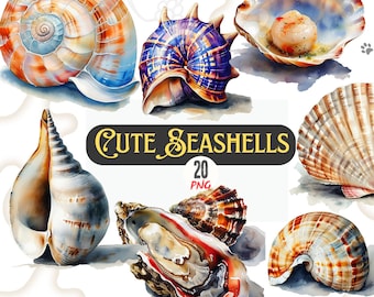 Watercolor Seashell Clipart Set of 20 PNG Cute Ocean Shells Nautical Beach Illustrations Digital Download for Scrapbooking Crafts